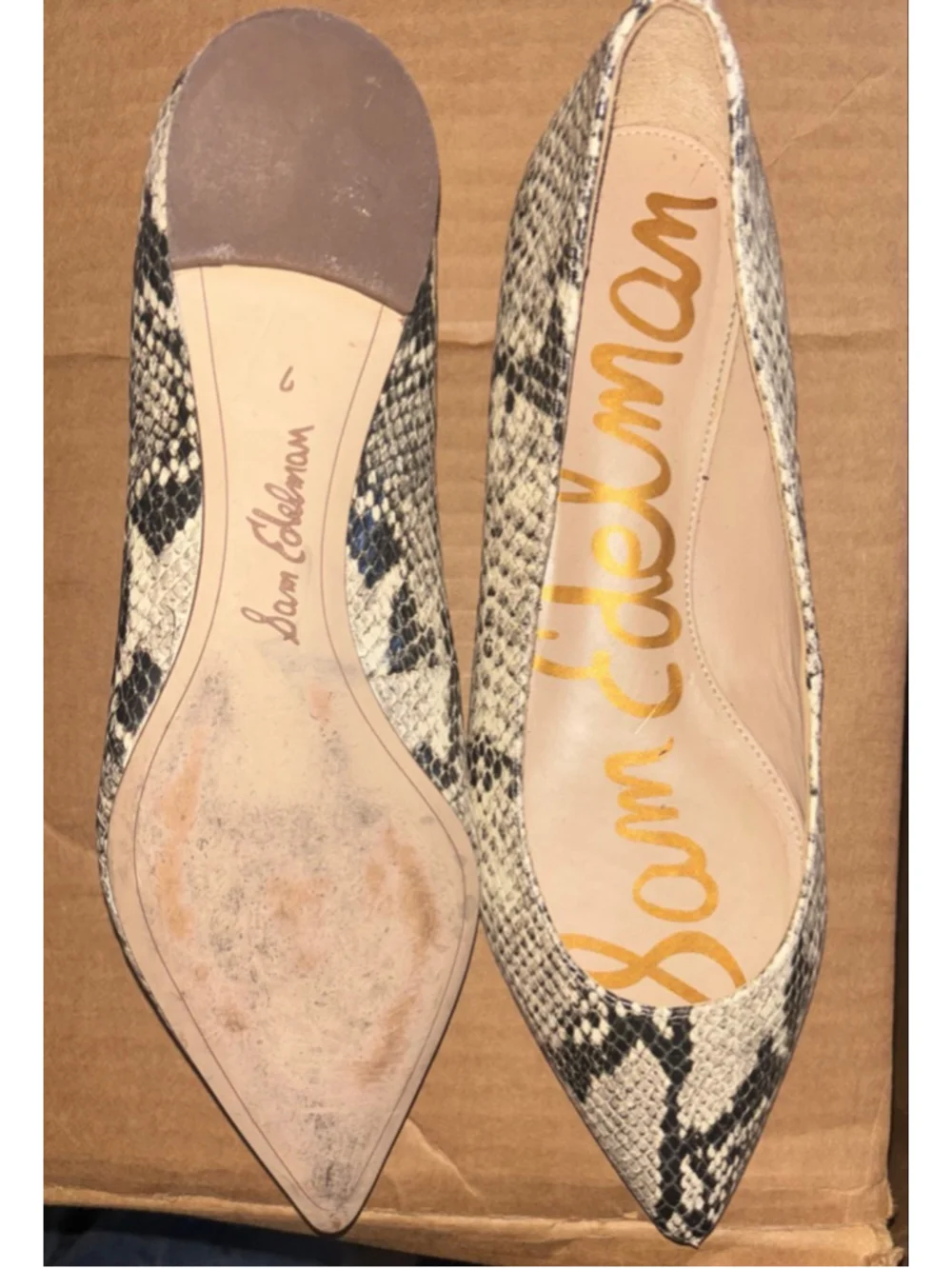 Sam Edelman chic pointed